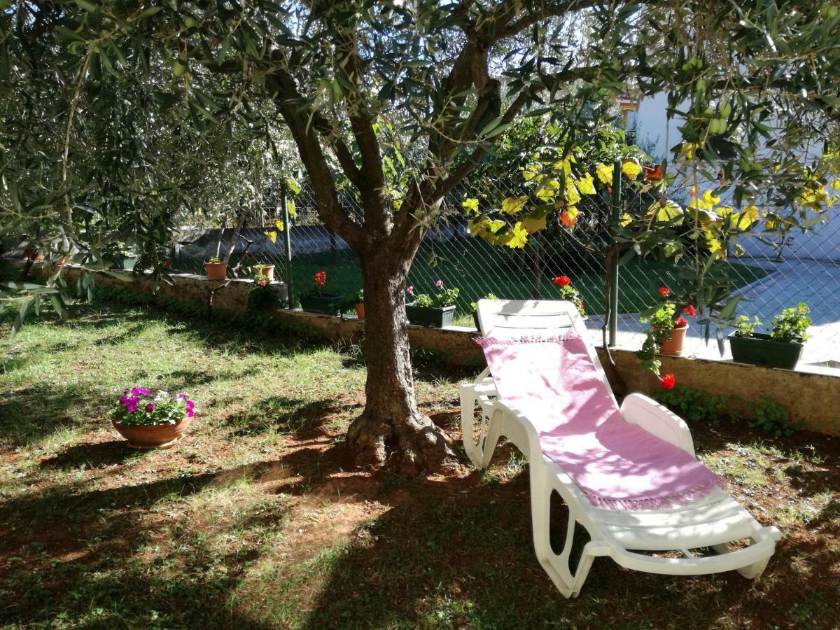 Apartmani Jenny Poreč Exterior foto
